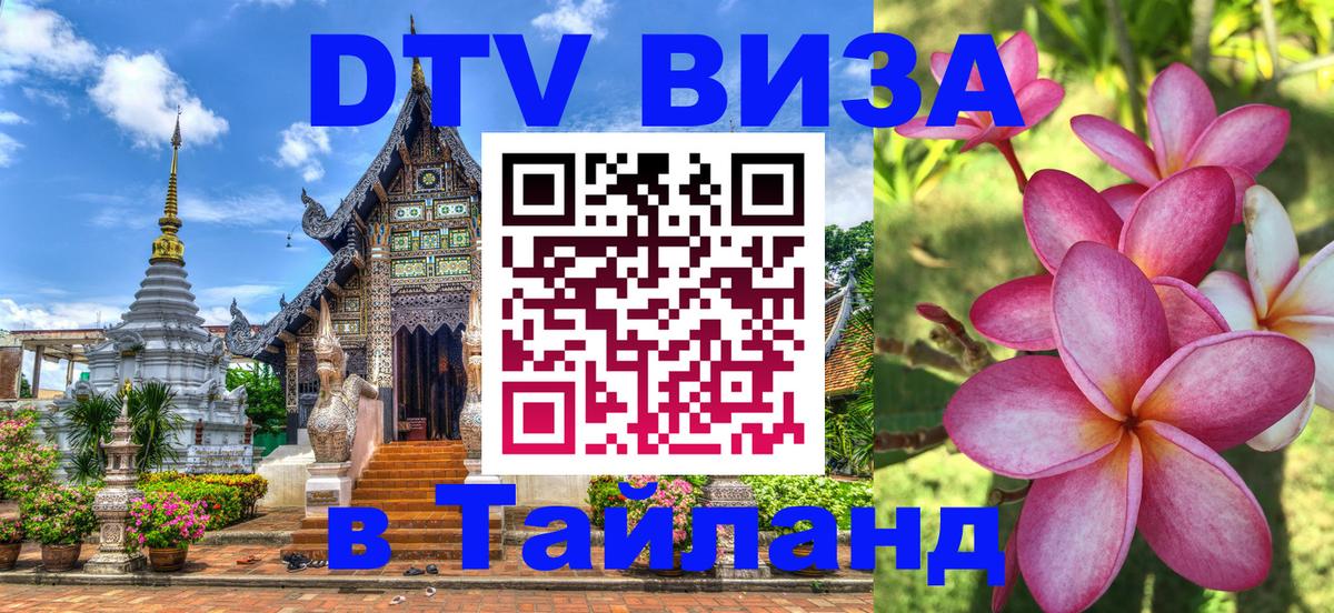 Оформление DTV визы под ключ: стоимость и тарифы, только загранпаспорт - 
